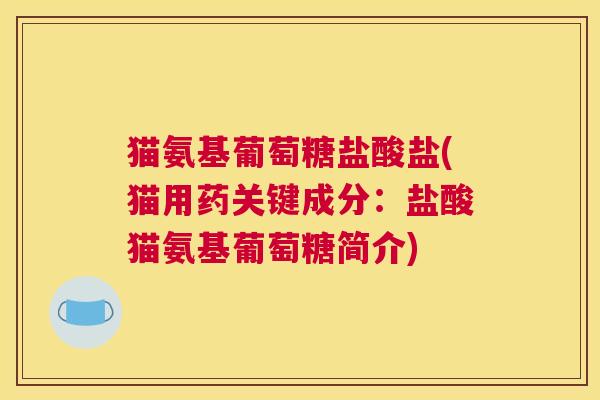 猫氨基葡萄糖盐酸盐(猫用药关键成分:盐酸猫氨基葡萄糖简介)