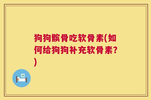 狗狗髌骨吃软骨素(如何给狗狗补充软骨素？)