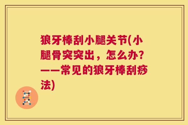 狼牙棒刮小腿关节(小腿骨突突出,怎么办?——常见的狼牙棒刮痧法)