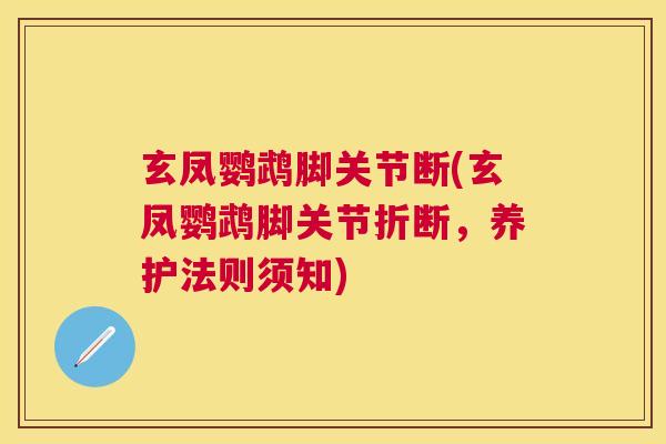 玄凤鹦鹉脚关节断(玄凤鹦鹉脚关节折断,养护法则须知) 玄凤鹦鹉脚关节断(玄凤鹦鹉脚关节折断,养护法则须知)