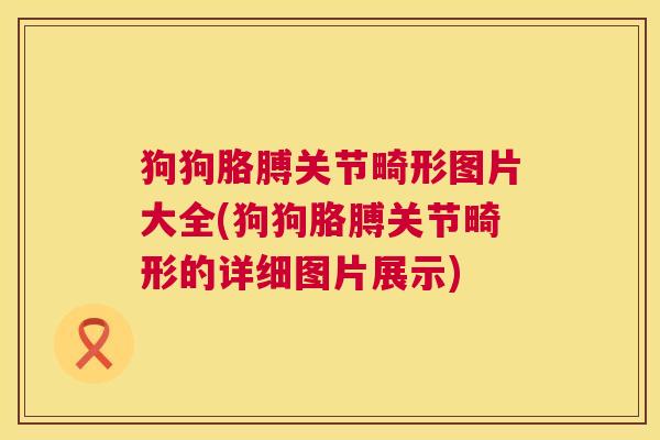 狗狗胳膊关节畸形图片大全(狗狗胳膊关节畸形的详细图片展示)