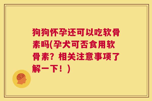 狗狗怀孕还可以吃软骨素吗(孕犬可否食用软骨素?相关注意事项了解一下!) 狗狗怀孕还可以吃软骨素吗(孕犬可否食用软骨素?相关注意事项了解一下!)