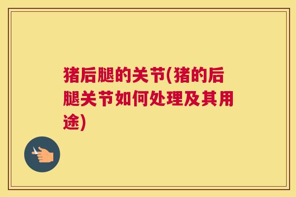 猪后腿的关节(猪的后腿关节如何处理及其用途)