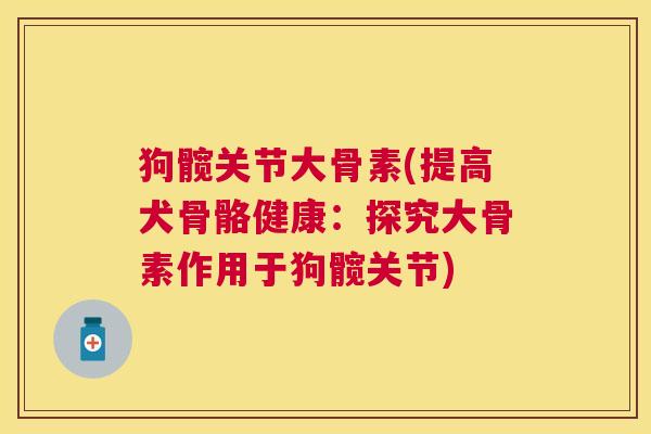 狗髋关节大骨素(提高犬骨骼健康:探究大骨素作用于狗髋关节)