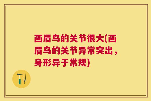 画眉鸟的关节很大(画眉鸟的关节异常突出，身形异于常规)