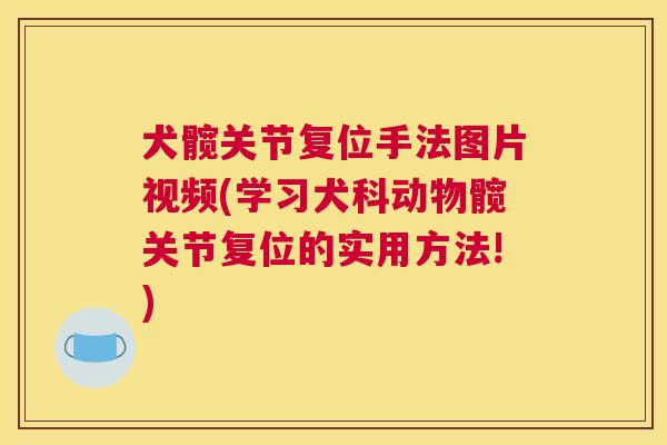 犬髋关节复位手法图片视频(学习犬科动物髋关节复位的实用方法!)