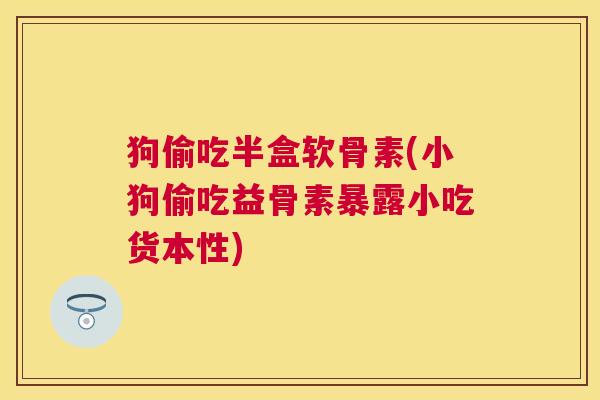 狗偷吃半盒软骨素(小狗偷吃益骨素暴露小吃货本性)