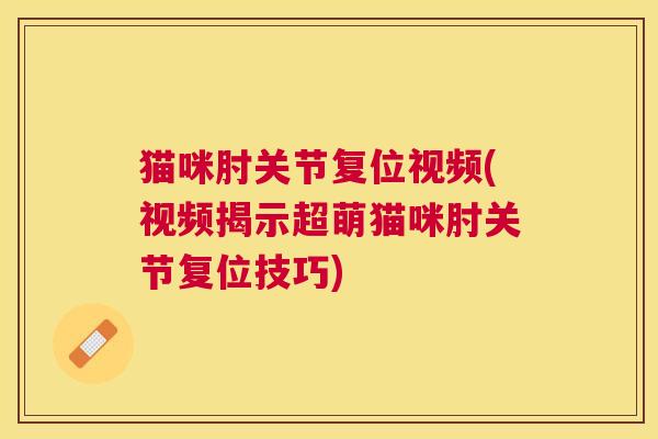 猫咪肘关节复位视频(视频揭示超萌猫咪肘关节复位技巧)