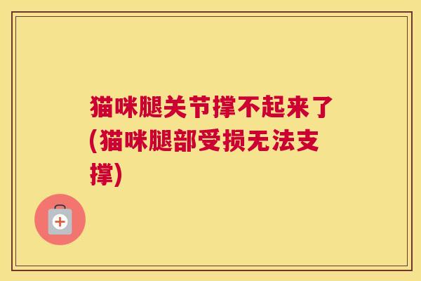 猫咪腿关节撑不起来了(猫咪腿部受损无法支撑)