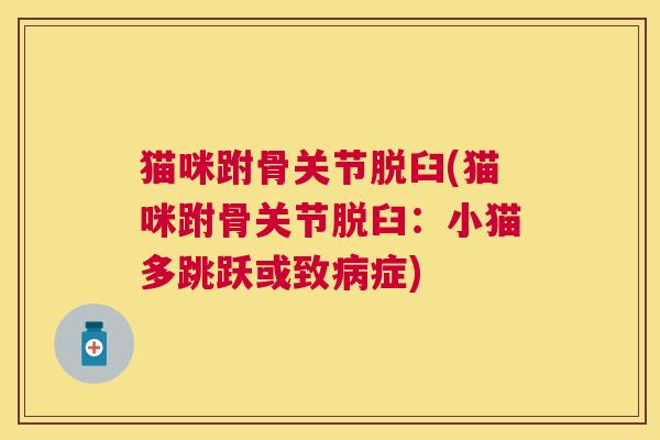 猫咪跗骨关节脱臼(猫咪跗骨关节脱臼:小猫多跳跃或致症) 猫咪跗骨关节脱臼(猫咪跗骨关节脱臼:小猫多跳跃或致症)