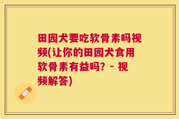 田园犬要吃软骨素吗视频(让你的田园犬食用软骨素有益吗？- 视频解答)
