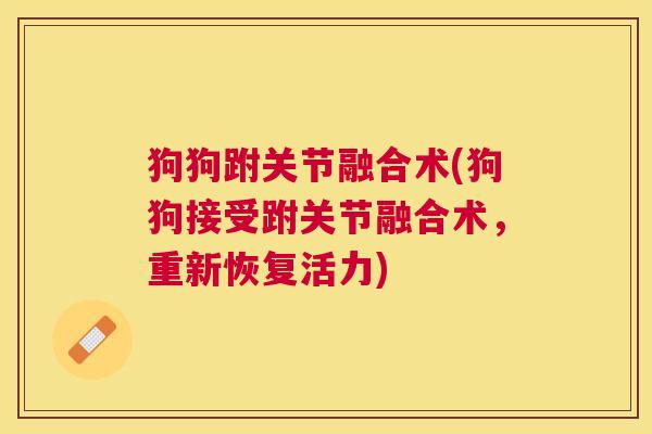 狗狗跗关节融合术(狗狗接受跗关节融合术，重新恢复活力)