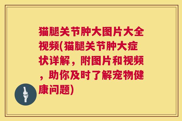 猫腿关节肿大图片大全视频(猫腿关节肿大症状详解,附图片和视频,助你及时了解宠物健康问题)