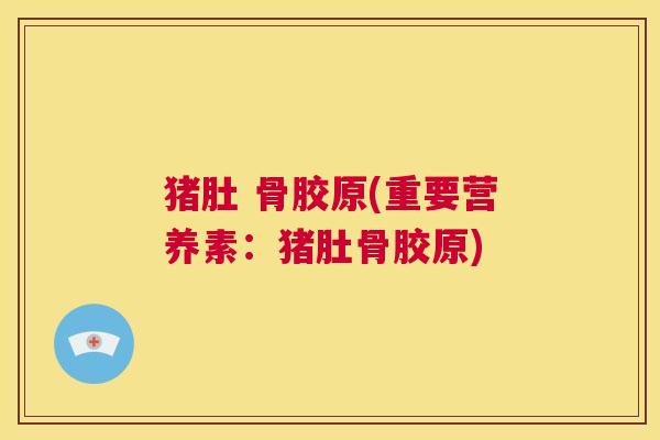 猪肚 骨胶原(重要营养素:猪肚骨胶原)