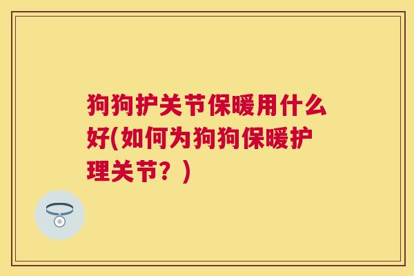 狗狗护关节保暖用什么好(如何为狗狗保暖护理关节?)