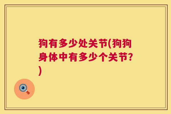 狗有多少处关节(狗狗身体中有多少个关节?)