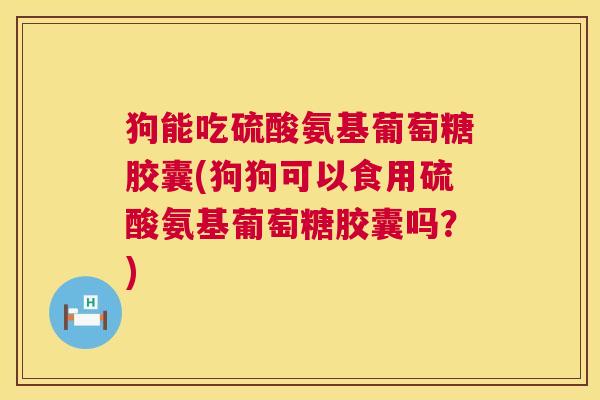 狗能吃硫酸氨基葡萄糖胶囊(狗狗可以食用硫酸氨基葡萄糖胶囊吗？)