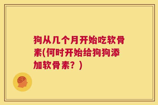 狗从几个月开始吃软骨素(何时开始给狗狗添加软骨素？)