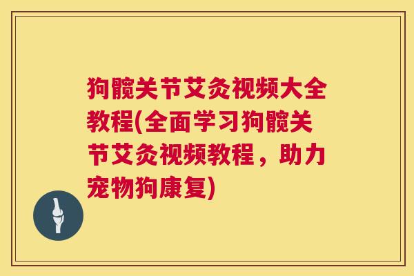 狗髋关节艾灸视频大全教程(全面学习狗髋关节艾灸视频教程,助力宠物狗康复)