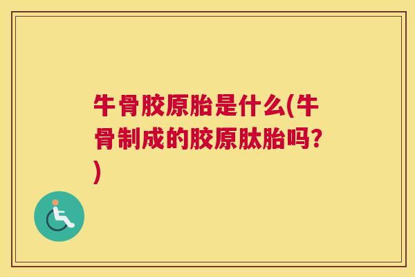 牛骨胶原胎是什么(牛骨制成的胶原肽胎吗？)