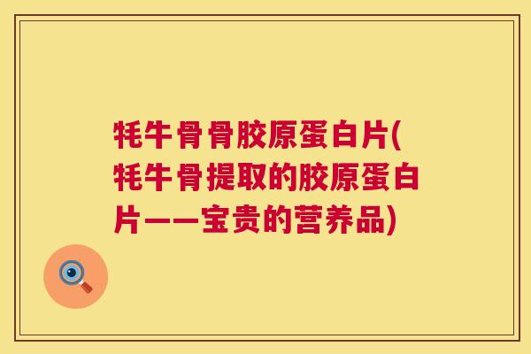 牦牛骨骨胶原蛋白片(牦牛骨提取的胶原蛋白片——宝贵的营养品)