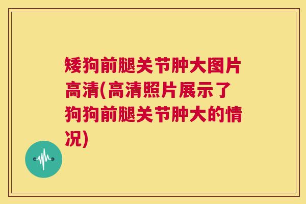 矮狗前腿关节肿大图片高清(高清照片展示了狗狗前腿关节肿大的情况)