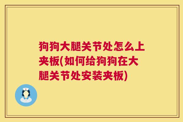 狗狗大腿关节处怎么上夹板(如何给狗狗在大腿关节处安装夹板)