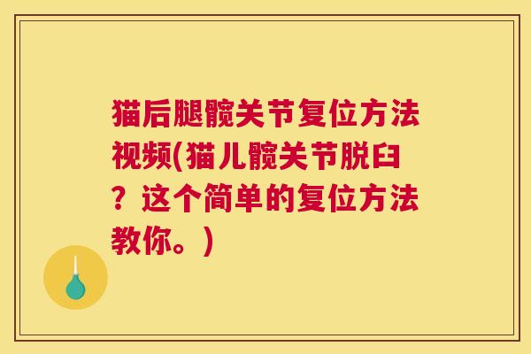 猫后腿髋关节复位方法视频(猫儿髋关节脱臼?这个简单的复位方法教你。) 猫后腿髋关节复位方法视频(猫儿髋关节脱臼?这个简单的复位方法教你。)