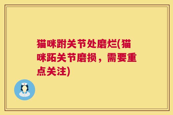 猫咪跗关节处磨烂(猫咪跖关节磨损,需要重点关注)