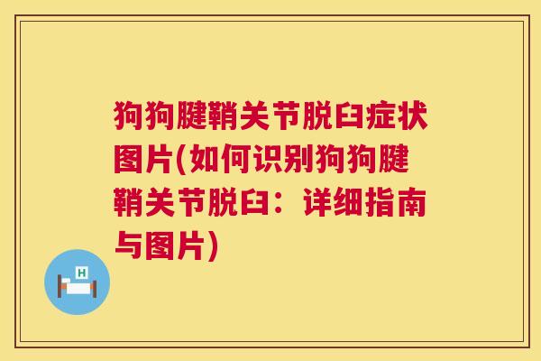 狗狗腱鞘关节脱臼症状图片(如何识别狗狗腱鞘关节脱臼：详细指南与图片)