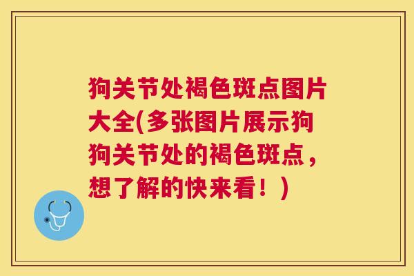 狗关节处褐色斑点图片大全(多张图片展示狗狗关节处的褐色斑点,想了解的快来看!)