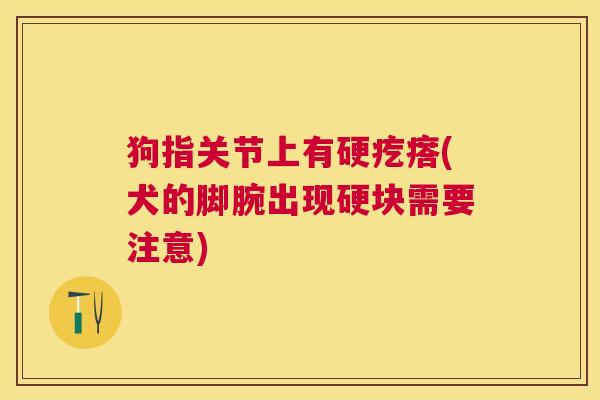 狗指关节上有硬疙瘩(犬的脚腕出现硬块需要注意) 狗指关节上有硬疙瘩(犬的脚腕出现硬块需要注意)