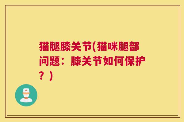 猫腿膝关节(猫咪腿部问题:膝关节如何保护?)