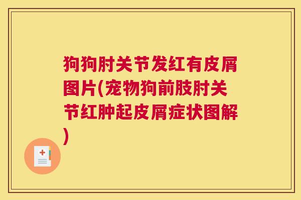 狗狗肘关节发红有皮屑图片(宠物狗前肢肘关节红肿起皮屑症状图解)
