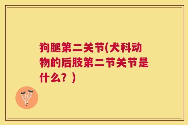 狗腿第二关节(犬科动物的后肢第二节关节是什么?)