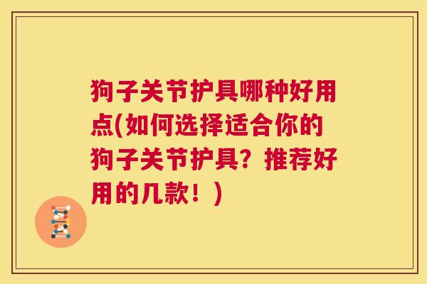 狗子关节护具哪种好用点(如何选择适合你的狗子关节护具?推荐好用的几款!) 狗子关节护具哪种好用点(如何选择适合你的狗子关节护具?推荐好用的几款!)