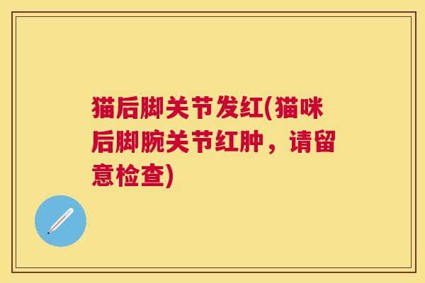 猫后脚关节发红(猫咪后脚腕关节红肿，请留意检查)