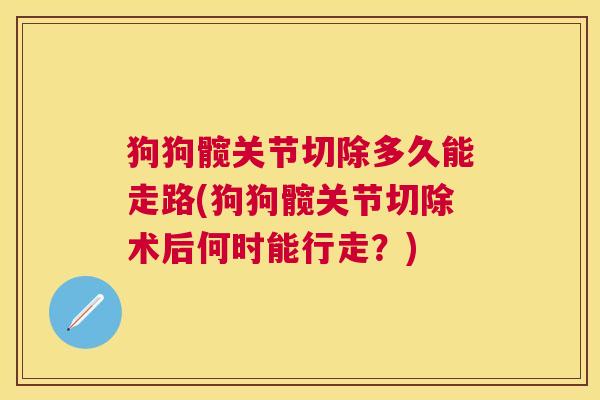 狗狗髋关节切除多久能走路(狗狗髋关节切除术后何时能行走?)