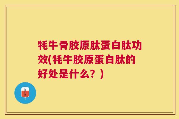 牦牛骨胶原肽蛋白肽功效(牦牛胶原蛋白肽的好处是什么？)