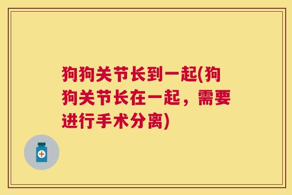 狗狗关节长到一起(狗狗关节长在一起，需要进行手术分离)