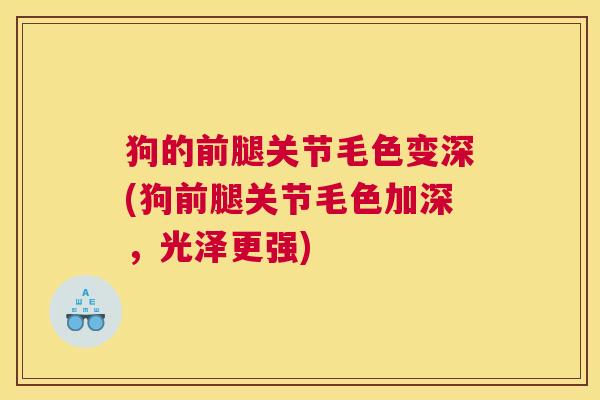 狗的前腿关节毛色变深(狗前腿关节毛色加深,光泽更强)