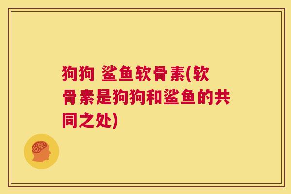 狗狗 鲨鱼软骨素(软骨素是狗狗和鲨鱼的共同之处)