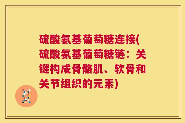 硫酸氨基葡萄糖连接(硫酸氨基葡萄糖链:关键构成骨骼肌、软骨和关节组织的元素)