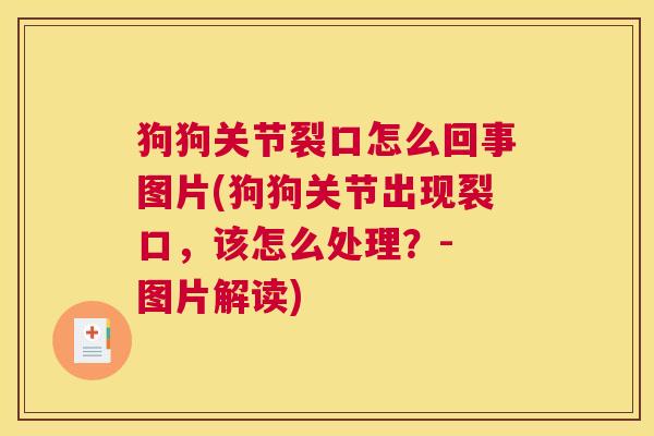 狗狗关节裂口怎么回事图片(狗狗关节出现裂口，该怎么处理？- 图片解读)