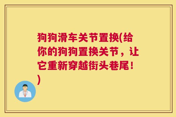 狗狗滑车关节置换(给你的狗狗置换关节，让它重新穿越街头巷尾！)