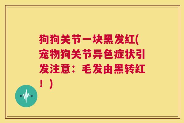 狗狗关节一块黑发红(宠物狗关节异色症状引发注意:毛发由黑转红!)