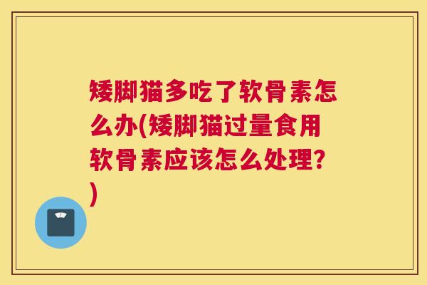 矮脚猫多吃了软骨素怎么办(矮脚猫过量食用软骨素应该怎么处理?)