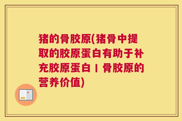 猪的骨胶原(猪骨中提取的胶原蛋白有助于补充胶原蛋白丨骨胶原的营养价值)