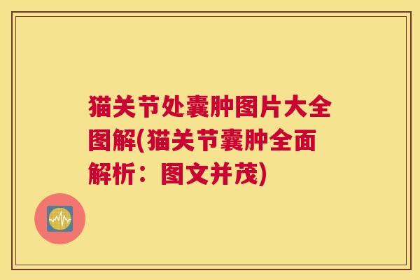 猫关节处囊肿图片大全图解(猫关节囊肿全面解析:图文并茂)
