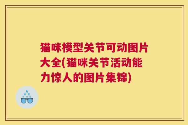 猫咪模型关节可动图片大全(猫咪关节活动能力惊人的图片集锦)